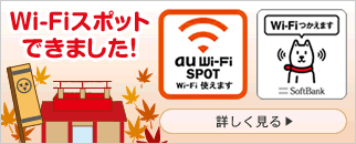 Wi-Fi使えます。